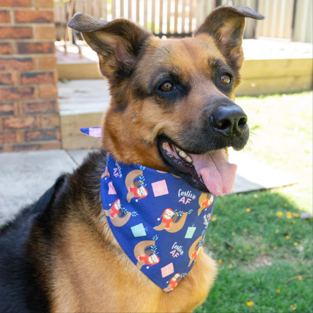 Festive dog deals bandana